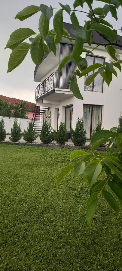 Accent Garden Apartman Déva Kültér fotó